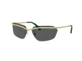 Swarovski Lunettes de Soleil SK 7001 400487