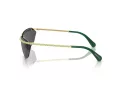 Swarovski Lunettes de Soleil SK 7001 400487