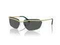 Swarovski Lunettes de Soleil SK 7001 400487