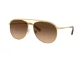Swarovski Lunettes de Soleil SK 7005 400474
