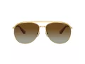Swarovski Lunettes de Soleil SK 7005 4004T5
