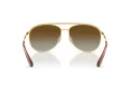 Swarovski Lunettes de Soleil SK 7005 4004T5