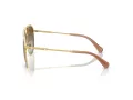 Swarovski Lunettes de Soleil SK 7005 4004T5