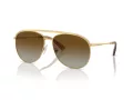 Swarovski Lunettes de Soleil SK 7005 4004T5