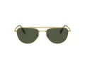 Swarovski Lunettes de Soleil SK 7007 401782