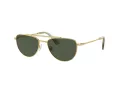 Swarovski Lunettes de Soleil SK 7007 401782
