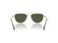 Swarovski Lunettes de Soleil SK 7007 401782