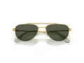 Swarovski Lunettes de Soleil SK 7007 401782