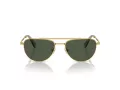 Swarovski Lunettes de Soleil SK 7007 401782