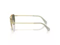 Swarovski Lunettes de Soleil SK 7007 401782