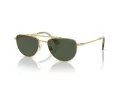 Swarovski Lunettes de Soleil SK 7007 401782