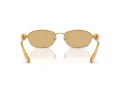 Swarovski Lunettes de Soleil SK 7010 4007D8