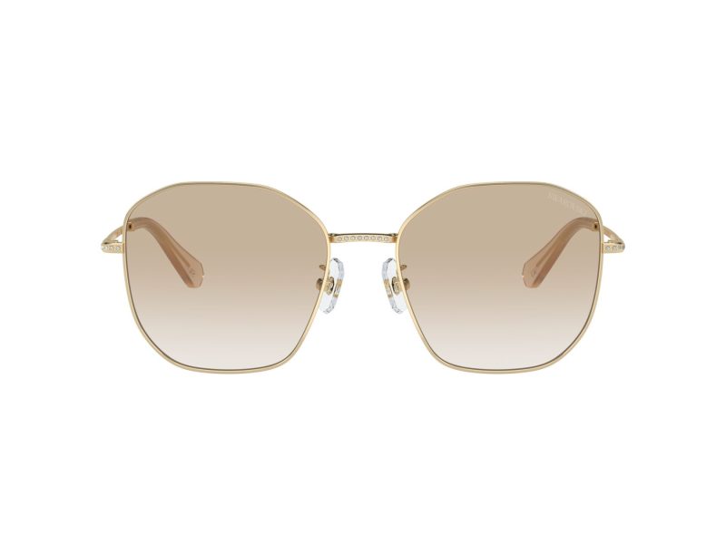 Swarovski Lunettes de Soleil SK 7012D 401311