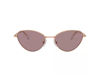 Swarovski Lunettes de Soleil SK 7014 40147N