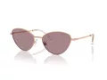 Swarovski Lunettes de Soleil SK 7014 40147N