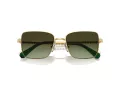 Swarovski Lunettes de Soleil SK 7015 4004E8