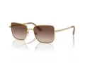 Swarovski Lunettes de Soleil SK 7015 400713