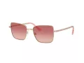 Swarovski Lunettes de Soleil SK 7015 4013A5