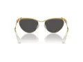 Swarovski Lunettes de Soleil SK 7017 400487