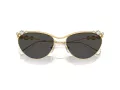 Swarovski Lunettes de Soleil SK 7017 400487