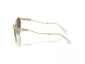 Swarovski Lunettes de Soleil SK 7017 400487
