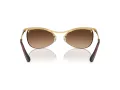 Swarovski Lunettes de Soleil SK 7018 400474