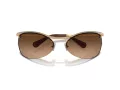 Swarovski Lunettes de Soleil SK 7018 400474