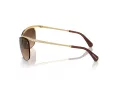 Swarovski Lunettes de Soleil SK 7018 400474