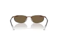 Swarovski Lunettes de Soleil SK 7019 400273