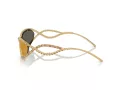 Swarovski Lunettes de Soleil SK 7024 40047P