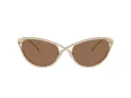 Swarovski Lunettes de Soleil SK 7025 400473