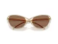 Swarovski Lunettes de Soleil SK 7025 400473