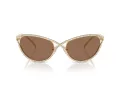 Swarovski Lunettes de Soleil SK 7025 400473