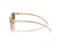 Swarovski Lunettes de Soleil SK 7025 400473