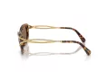 Swarovski Lunettes de Soleil SK 7026 403573