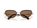 Swarovski Lunettes de Soleil SK 7027 400473