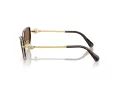 Swarovski Lunettes de Soleil SK 7027 400473