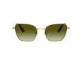 Swarovski Lunettes de Soleil SK 7029 4004E8