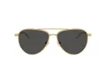Swarovski Lunettes de Soleil SK 7031 400487