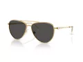 Swarovski Lunettes de Soleil SK 7031 400487