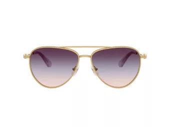 Swarovski Lunettes de Soleil SK 7031 4036U7