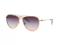 Swarovski Lunettes de Soleil SK 7031 4036U7