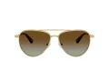 Swarovski Lunettes de Soleil SK 7031 4037T5