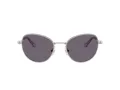 Swarovski Lunettes de Soleil SK 7032 40011A
