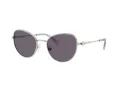 Swarovski Lunettes de Soleil SK 7032 40011A