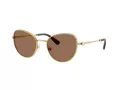 Swarovski Lunettes de Soleil SK 7032 400473
