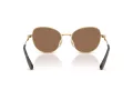 Swarovski Lunettes de Soleil SK 7032 400473
