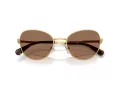 Swarovski Lunettes de Soleil SK 7032 400473