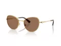 Swarovski Lunettes de Soleil SK 7032 400473