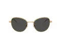 Swarovski Lunettes de Soleil SK 7032 400487